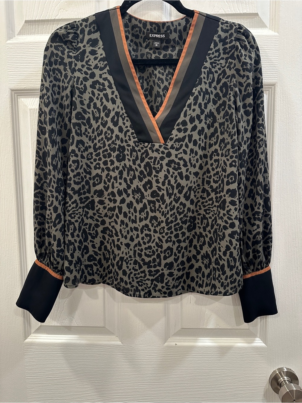 Express leopard print v neck long sleeve blouse size Xs EUC